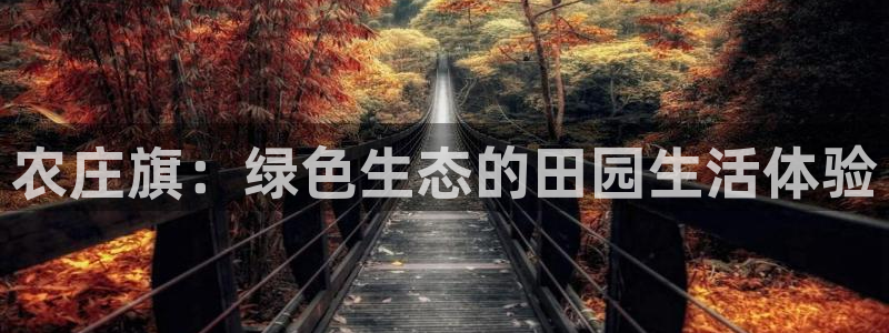天辰娱乐服务
