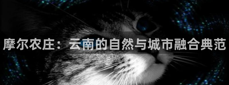 天辰a娱乐