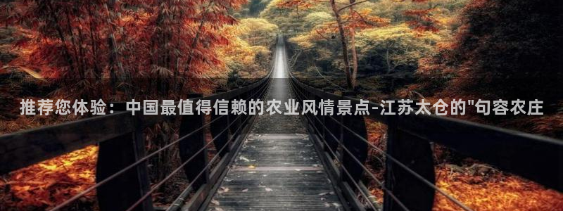 天辰娱乐股票