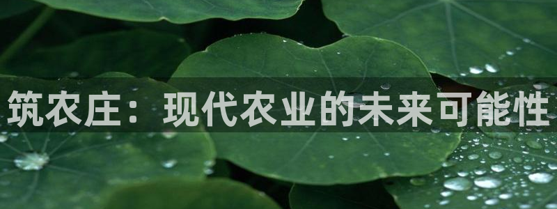 天辰团队贝高娱乐