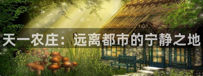 天辰娱乐61116