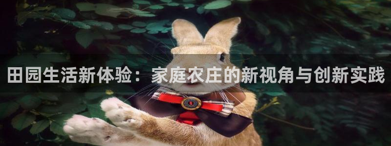 天辰娱乐39974神