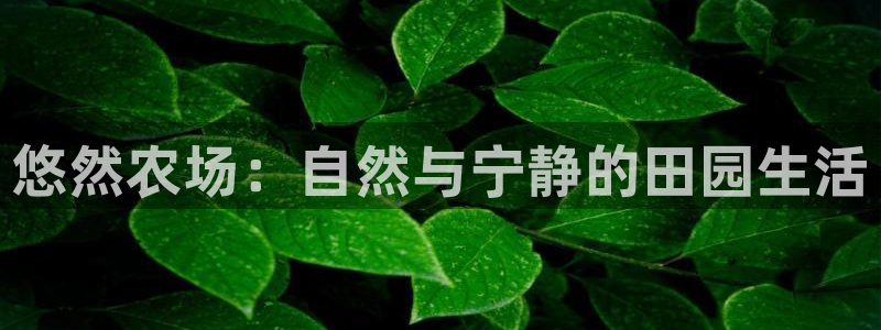 天辰娱乐会员