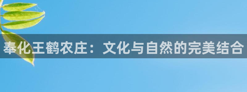 天辰娱乐网址娱乐游戏