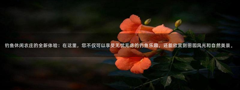 天辰娱乐10086