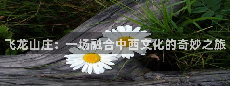 大庆天辰娱乐