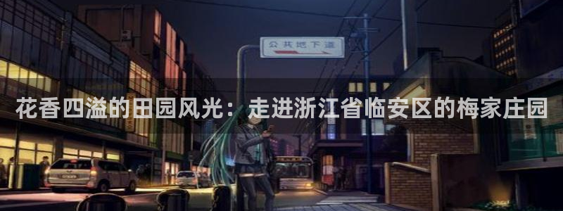 天辰娱乐总管