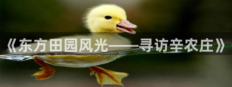 天辰娱乐娱乐平台