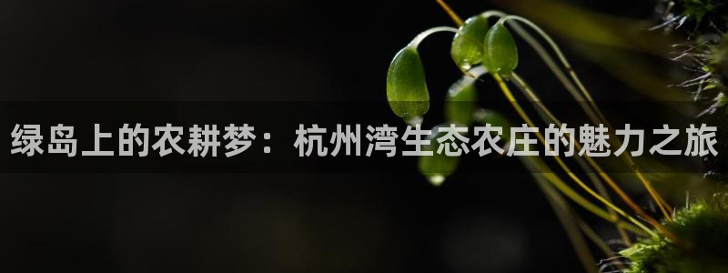 天辰娱乐 主管