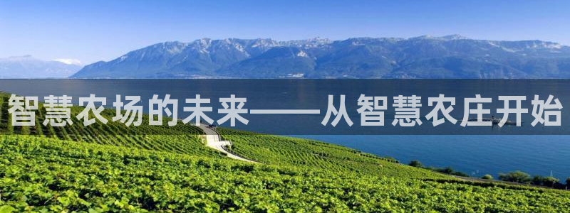 天辰娱乐待遇