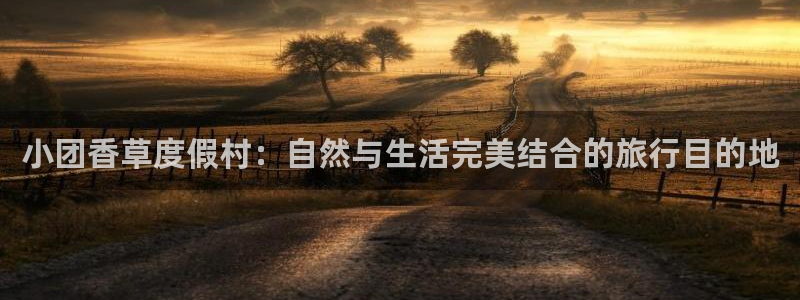 天辰娱乐上级