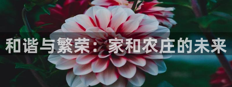 天辰娱乐客服
