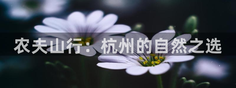 天辰娱乐测速