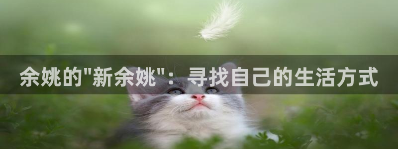 天辰娱乐 231639