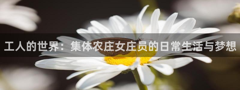 天辰娱乐1980