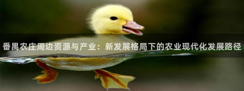 天辰娱乐_ 18113