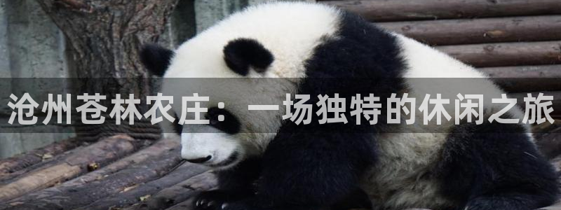 天辰2娱乐