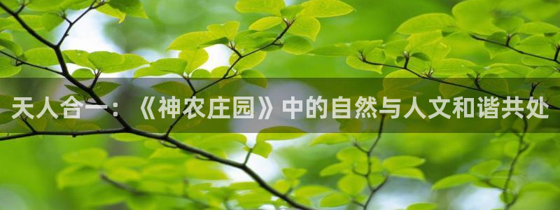 天辰娱乐股东