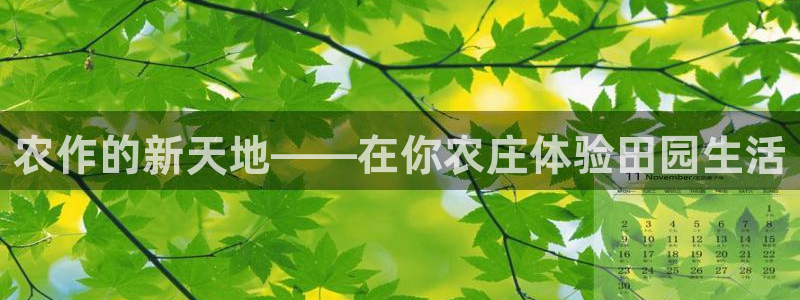天辰团队贝高娱乐