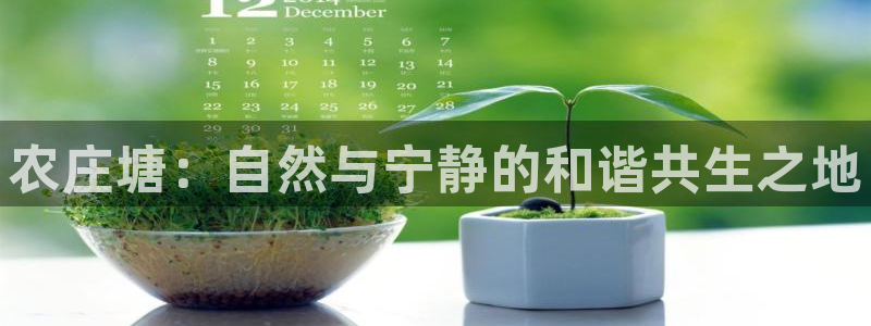 天辰娱乐平台靠谱么