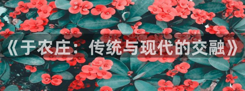 天辰娱乐娱乐