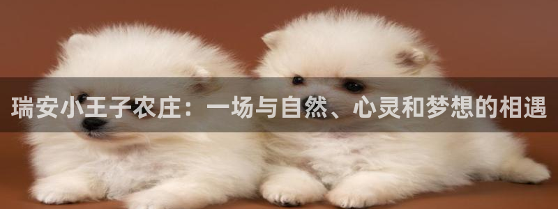 天辰娱乐天辰注册登录