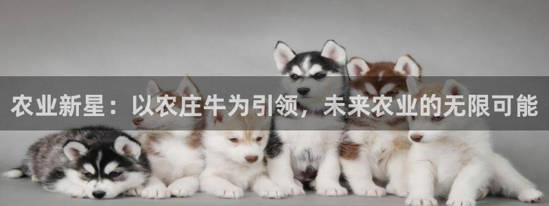 天辰娱乐登录测试